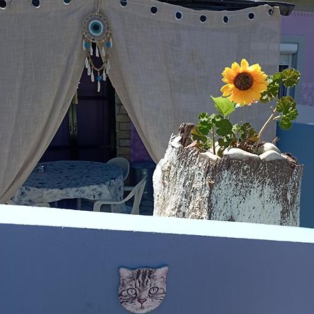 La Gatta Studio Gaios Exterior photo